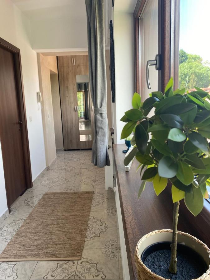 Natura Center Appartement *